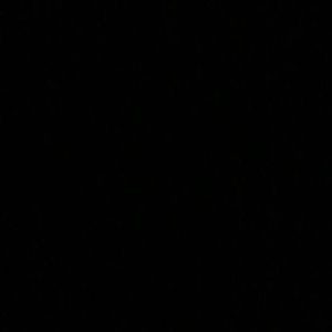 Meet your Posher, Freddy